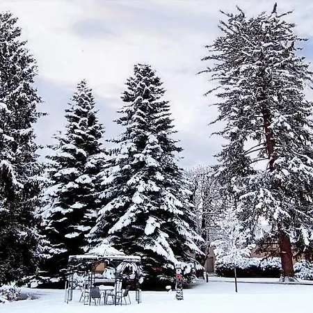 Johannes Schloessl - Gaestehaus Der Pallottiner Am Moenchsberg Homestay